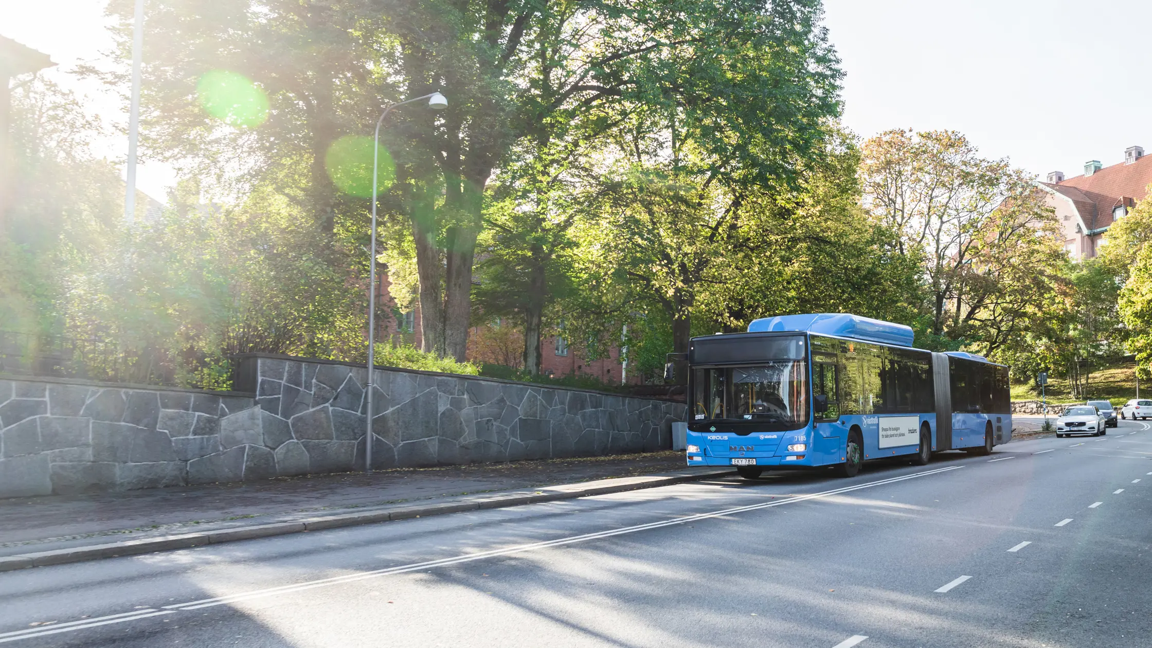 Buss kommer körande på en väg med grönskande träd i bakgrunden.